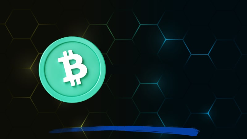 Bitcoin cash casino and sports betting